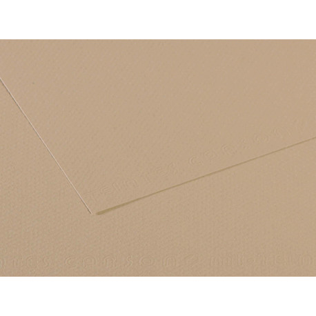 Foglio Mi-Teintes - A4 - 160 gr - grigio trianon - Canson