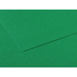 Foglio Mi-Teintes - A4 - 160 gr - verde biliardo - Canson