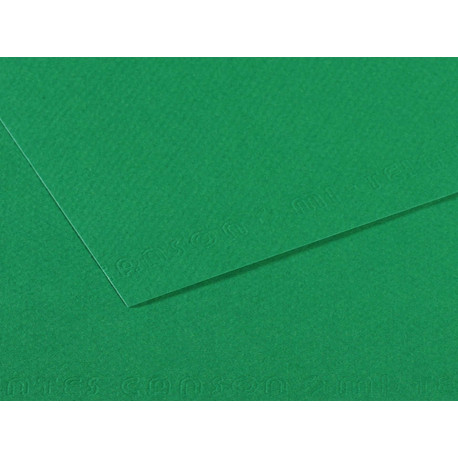 Foglio Mi-Teintes - A4 - 160 gr - verde biliardo - Canson