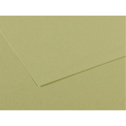Foglio Mi-Teintes - A4 - 160 gr - verde mandorla - Canson