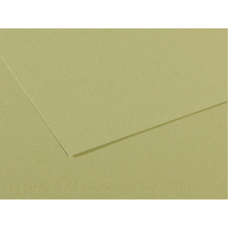 Foglio Mi-Teintes - A4 - 160 gr - verde mandorla - Canson