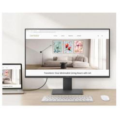 BenQ Monitor Desktop