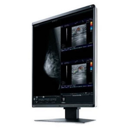 Eizo RadiForce RX560