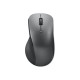 Lenovo Professional - Mouse - ergonomico - ottico blu - 6 pulsanti - senza fili - Bluetooth 5.1 - gr