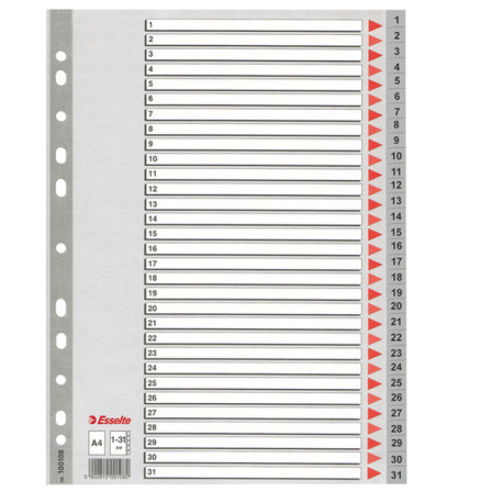 Separatore numerico 1/31 - PP - A4 - grigio - Esselte