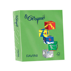 Carta Le Cirque - A4 - 80 gr - verde prato 203 - Favini - conf. 500 fogli