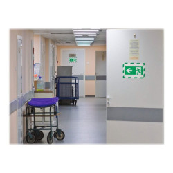 DURABLE DURAFRAME MAGNETIC SECURITY - Portadocumenti - per A4 - magnetica - bianco/verde (pacchetto di 5)