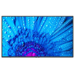Sharp/NEC MultiSync M981