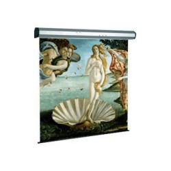 SOPAR Electric Professional - Schermo per proiezione - motorizzato - 167 (424 cm) - 1:1 - bianco