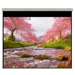 Sopar Elettrico 450x338 HT Rubin