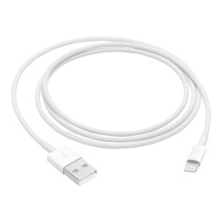 Apple - Cavo Lightning - Lightning maschio a USB maschio - 1 m