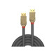 Lindy Gold - Cavo DisplayPort - DisplayPort (M) a DisplayPort (M) - DisplayPort 1.2 - 1 m - supporto 4K - grigio