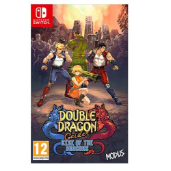 Maximum Games DOUBLE DRAGON GAIDEN