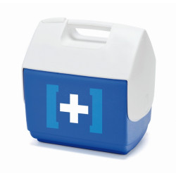 Bauletto Cooler Piccolo 6,6 lt Ghiacciaia