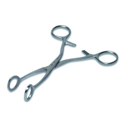 Pinza Tiralingua in Inox 17 cm  in acciaio inox completamente autoclavabile